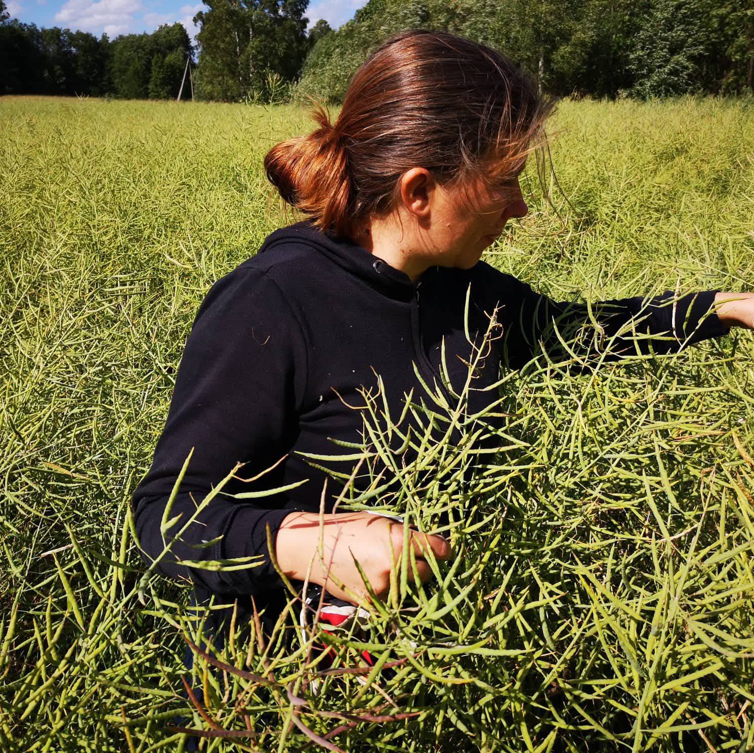 567955152 10163990570848010 2505949392881181851 n